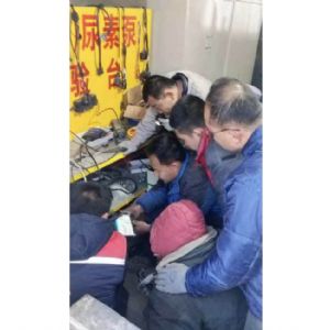 尿素泵维修 